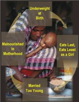 Cycle of Malnutrition .node