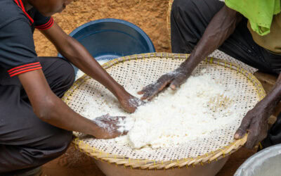 World Food Day 2025