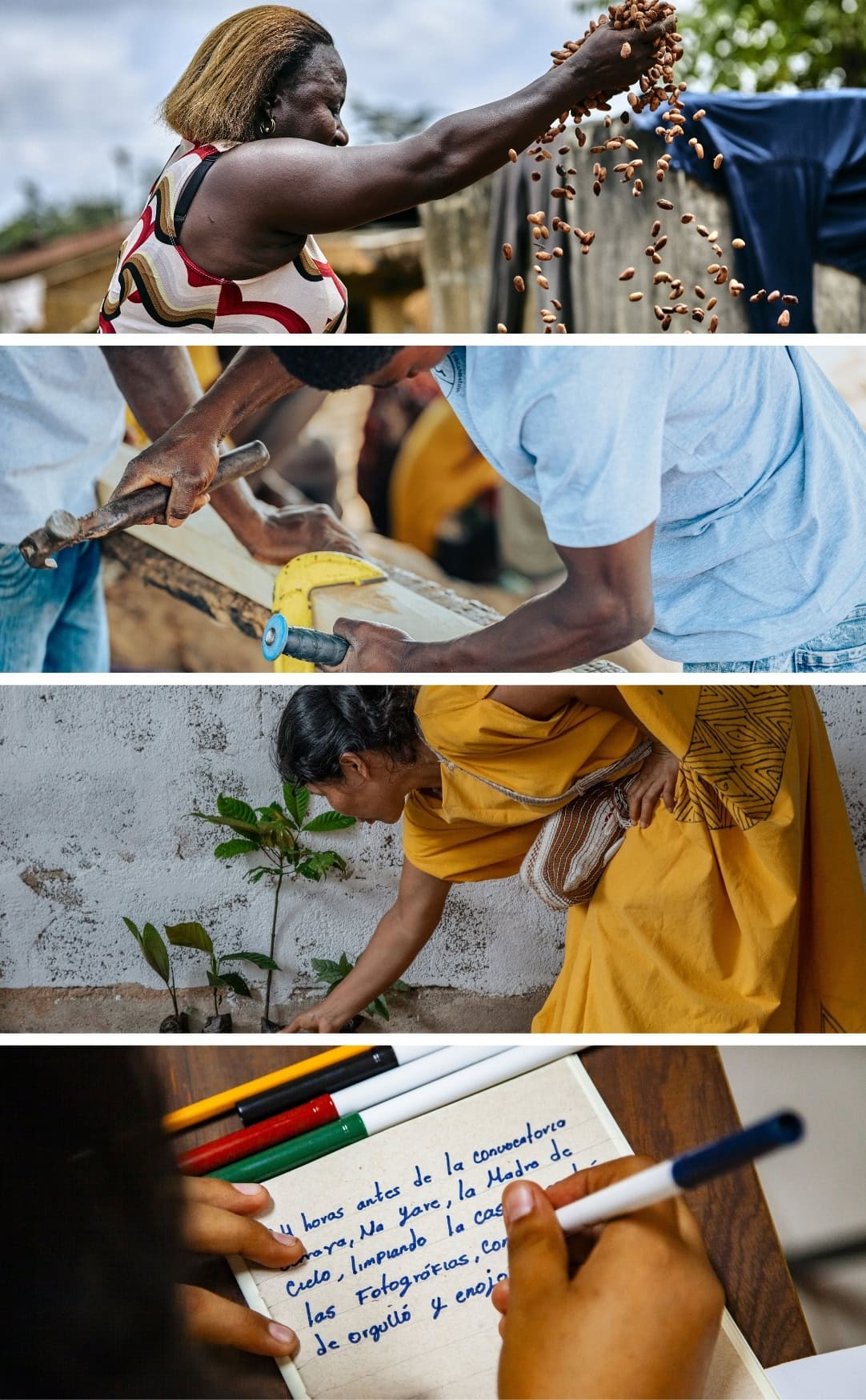 Community-Led Development Around the World | The Hunger Project A four-panel collage showing community members drying beans in Ghana, skilled workers in Malawi, a woman planting a tree in Peru, and a young person writing in a notebook in Mexico, representing agriculture, livelihoods, environmental sustainability, and education.