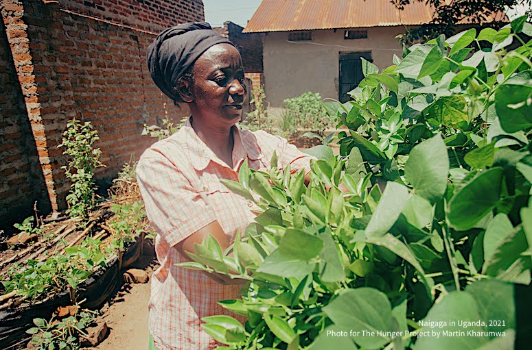 Woman trimming a plant in her vegetable garden | Photo for The Hunger Project by Martin Kharumwa