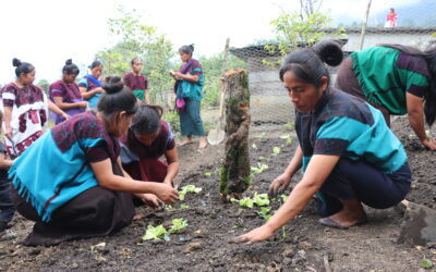 Transforming Nutrition in Mexico Through Indigenous Knowledge