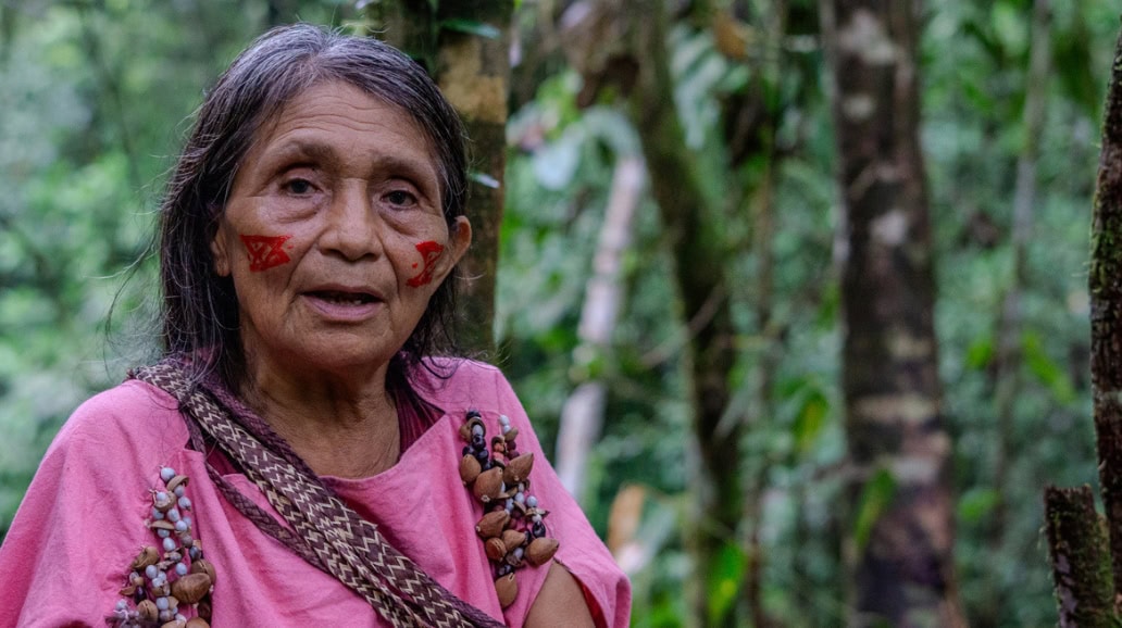 Elderly Indigenous woman from the Pasco Region of Peru wearing traditional clothing and face paint, standing in a lush Amazon rainforest.